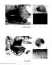 Fig. 49 - SELECTIVE INHIBITORS OF UNDIFFERENTIATED CELLS