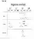 Fig. 06 - mTORC1 MODULATION BY AMINO ACIDS AND USES THEREOF