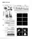 Fig. 10 - mTORC1 MODULATION BY AMINO ACIDS AND USES THEREOF