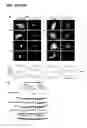 Fig. 16 - mTORC1 MODULATION BY AMINO ACIDS AND USES THEREOF