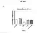 Fig. 25 - mTORC1 MODULATION BY AMINO ACIDS AND USES THEREOF