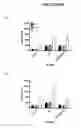 Fig. 26 - mTORC1 MODULATION BY AMINO ACIDS AND USES THEREOF
