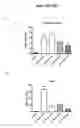Fig. 29 - mTORC1 MODULATION BY AMINO ACIDS AND USES THEREOF