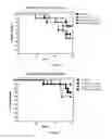Fig. 04 - METHODS AND COMPOUNDS FOR VITAMIN D THERAPY