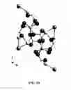 Fig. 11 - Compositions and Methods for the Prevention and Treatment of Metabolic Diseases