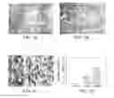 Fig. 02 - Compositions and methods for treating diseases