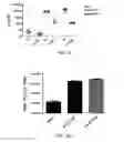 Fig. 30 - Compositions and methods for treating diseases