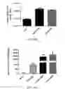 Fig. 31 - Compositions and methods for treating diseases