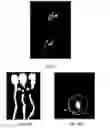Fig. 32 - Compositions and methods for treating diseases