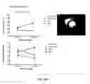 Fig. 40 - Compositions and methods for treating diseases
