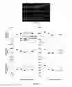 Fig. 53 - Compositions and methods for treating diseases