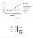 Fig. 06 - Compositions and methods for controlling carbohydrate and fat metabolism