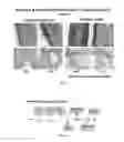 Fig. 02 - Suppression of allergic lung inflammation and hyperreactivity