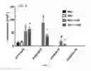 Fig. 05 - Suppression of allergic lung inflammation and hyperreactivity