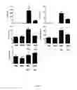 Fig. 06 - Suppression of allergic lung inflammation and hyperreactivity