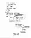 Fig. 09 - Mutant huntingtin-mediated protein dysfunction