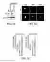 Fig. 13 - Mutant huntingtin-mediated protein dysfunction