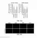 Fig. 15 - Mutant huntingtin-mediated protein dysfunction