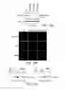 Fig. 26 - Mutant huntingtin-mediated protein dysfunction