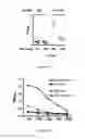 Fig. 04 - Method for enhancing immune response in the treatment of infectious and malignant diseases