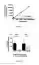 Fig. 06 - Method for enhancing immune response in the treatment of infectious and malignant diseases