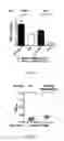 Fig. 07 - Method for enhancing immune response in the treatment of infectious and malignant diseases