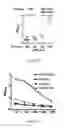 Fig. 08 - Method for enhancing immune response in the treatment of infectious and malignant diseases