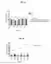 Fig. 04 - Methods for producing an immune response to tuberculosis