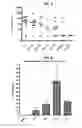 Fig. 04 - Immunogens and methods for discovery and screening thereof