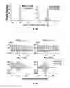 Fig. 04 - RNA interference functions as an antiviral immunity in mammals
