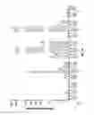 Fig. 07 - RNA interference functions as an antiviral immunity in mammals