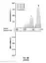 Fig. 28 - RNA interference functions as an antiviral immunity in mammals