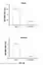 Fig. 37 - RNA interference functions as an antiviral immunity in mammals