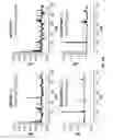 Fig. 40 - RNA interference functions as an antiviral immunity in mammals