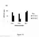 Fig. 02 - Generation of HPV-specific T-cells