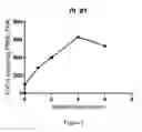 Fig. 04 - Generation of HPV-specific T-cells