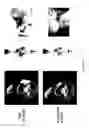 Fig. 06 - Generation of HPV-specific T-cells