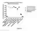 Fig. 05 - Vaccine composition comprising complexed immunostimulatory nucleic acids and antigens packaged with disulfide-linked polyethyleneglycol/peptide conjugates