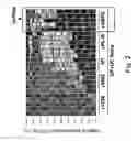 Fig. 04 - Compositions and methods for induction of TH17 cells