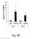 Fig. 06 - Compositions and methods for induction of TH17 cells