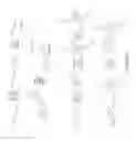 Fig. 09 - Composite polydots and applications thereof