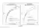 Fig. 11 - Composite polydots and applications thereof