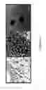 Fig. 17 - Composite polydots and applications thereof