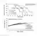 Fig. 05 - Anticancer agent and side-effect-alleviating agent