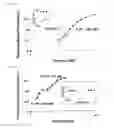 Fig. 05 - Pincers comprising antibody and aptamer conjugated via a linker which binds to the same target material and use thereof