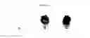 Fig. 32 - Polyamine-dihydroxybenzoic acid conjugate hydrogels as iron chelators