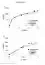 Fig. 43 - Polyamine-dihydroxybenzoic acid conjugate hydrogels as iron chelators