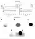 Fig. 56 - Polyamine-dihydroxybenzoic acid conjugate hydrogels as iron chelators