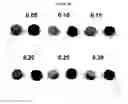 Fig. 57 - Polyamine-dihydroxybenzoic acid conjugate hydrogels as iron chelators