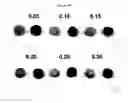 Fig. 57 - Polyamine-dihydroxybenzoic acid conjugate hydrogels as iron chelators